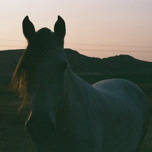 Meet your Posher, Annia